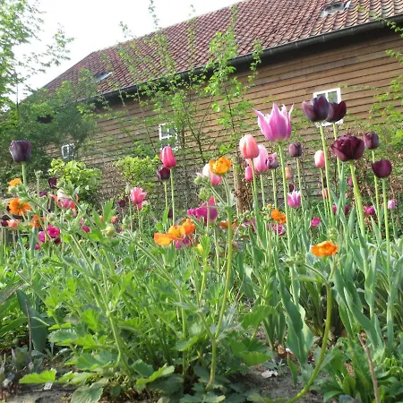 Zintuinen Appartamento