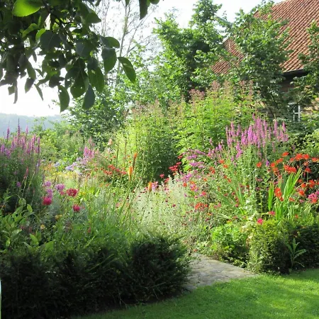 Appartamento Zintuinen *