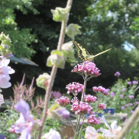 Zintuinen Appartamento Esbeek