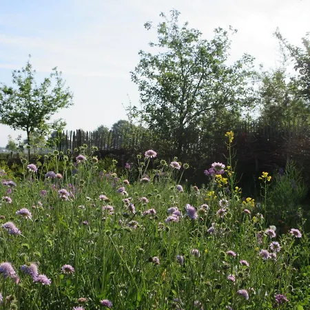 Appartamento Zintuinen *