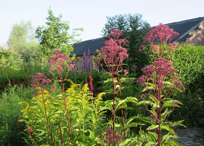 Zintuinen Διαμέρισμα Esbeek