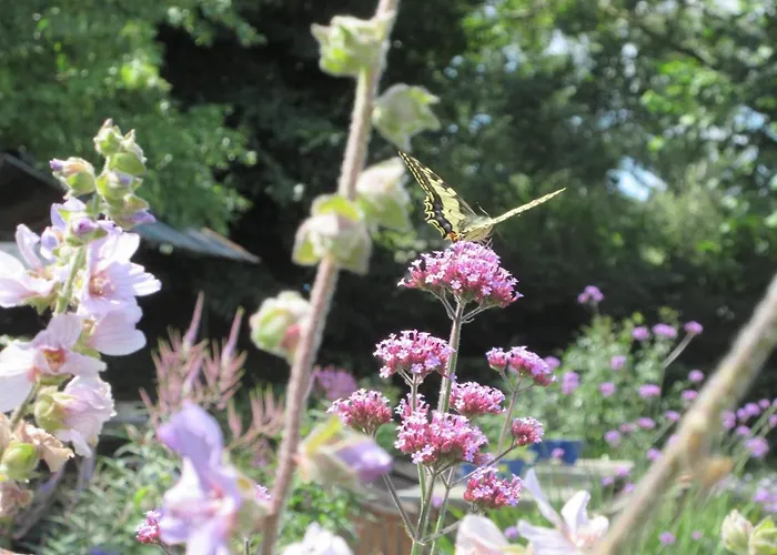 Zintuinen Daire Esbeek