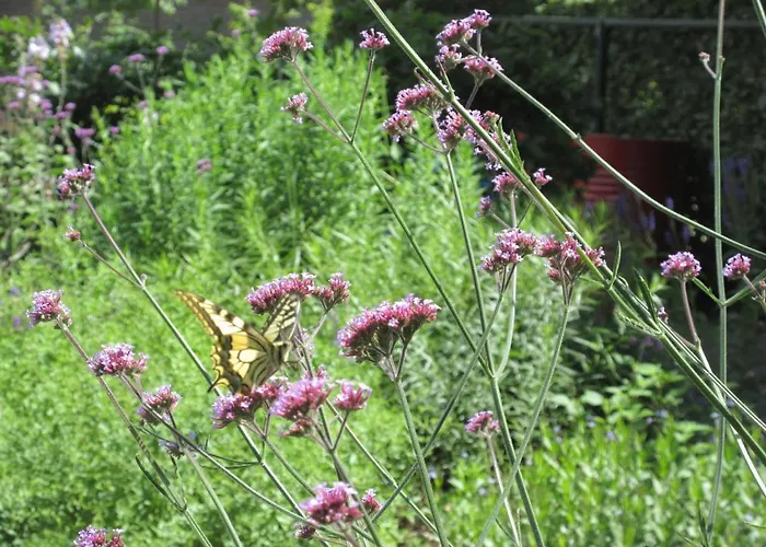 Apartman Zintuinen *