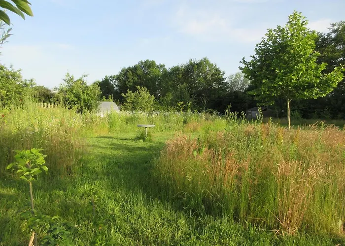 Zintuinen Διαμέρισμα *