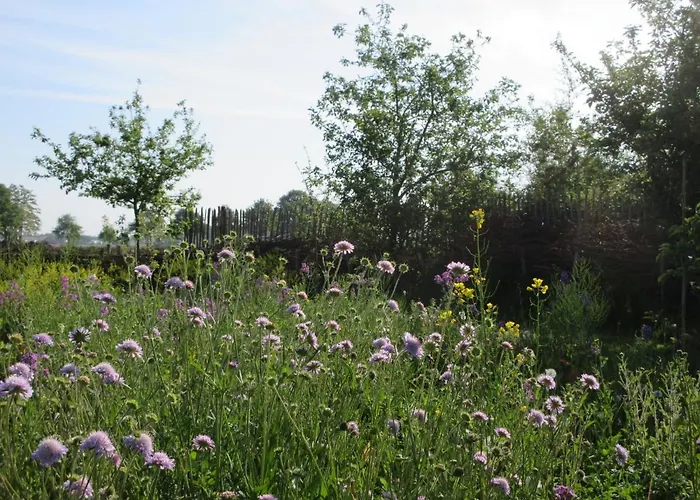 Appartement Zintuinen *